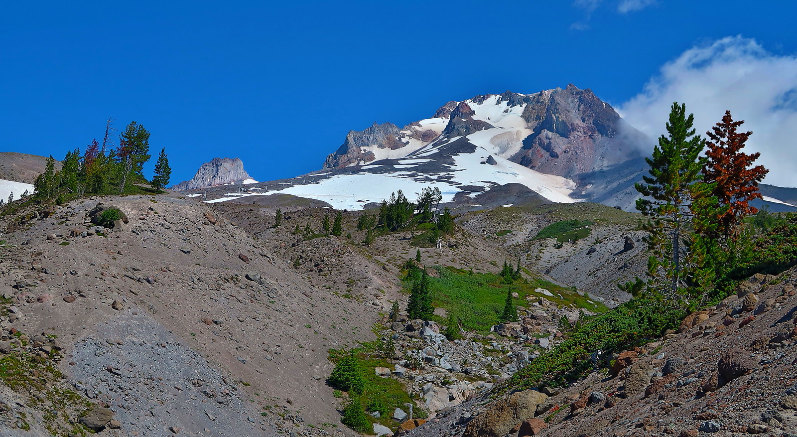 Mt Hood Timberline Trail August 2020 Flickr