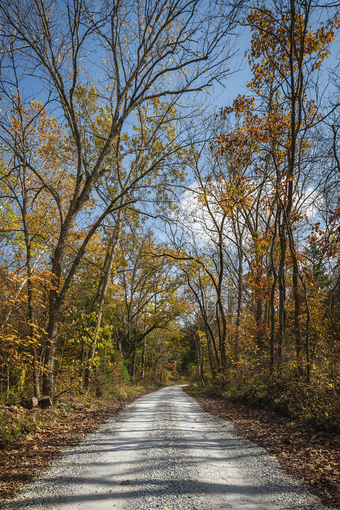 County Road 388 County Road 388 in Callaway County, Missou… Flickr