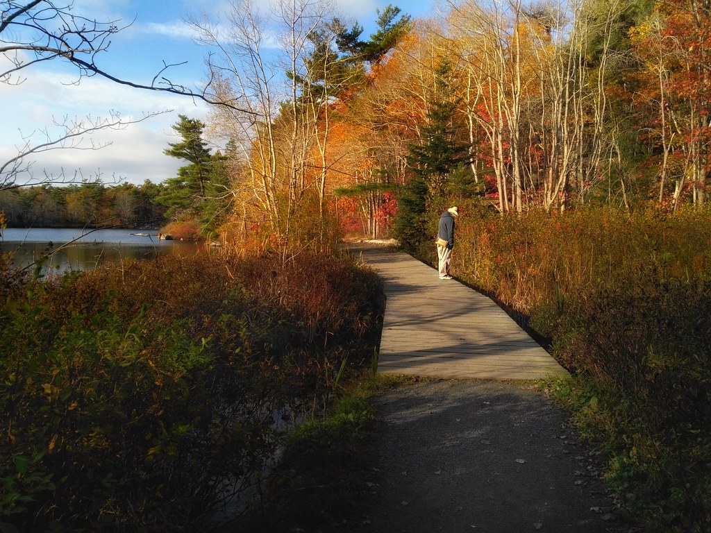 The Frog Pond Trail photo fiddler Flickr