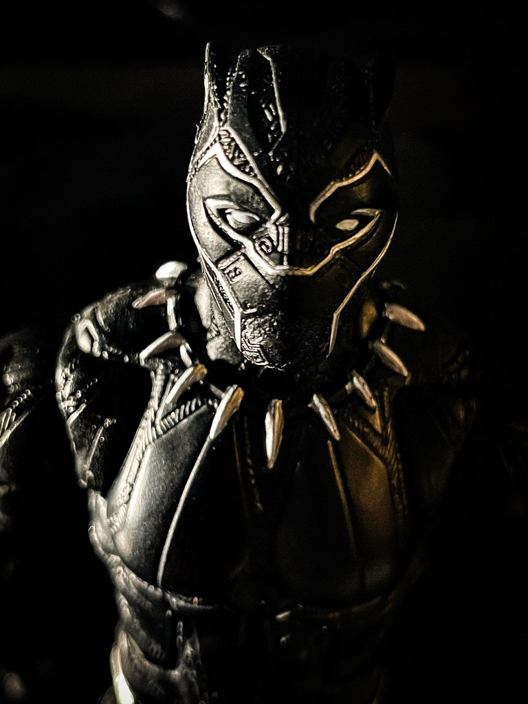 302 Black Panther For sale on Ebay Randy Caldwell Flickr