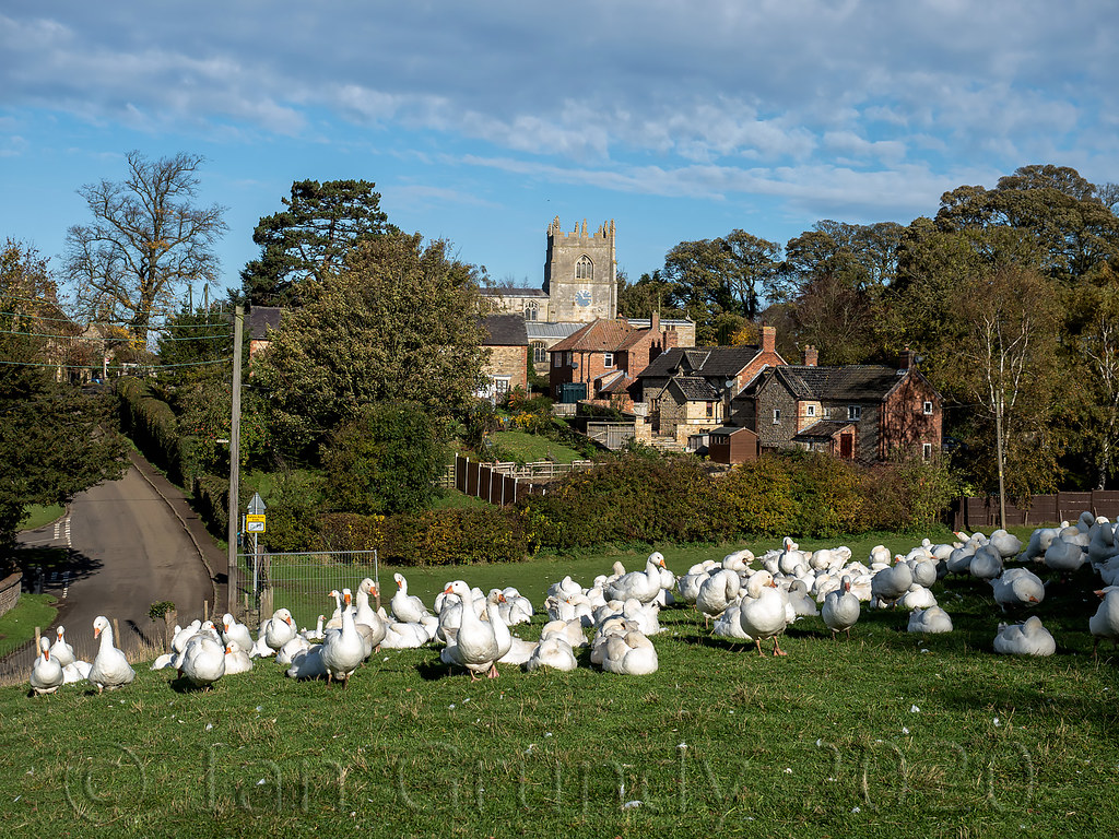 Croxton Kerrial 9008 Croxton Kerrial, Leicestershire. Very… Flickr