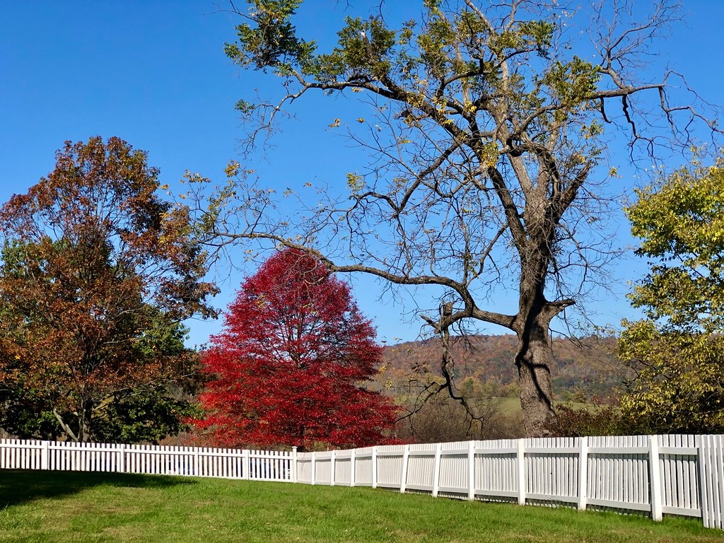 Fall 2020 Foliage Highlights Flickr