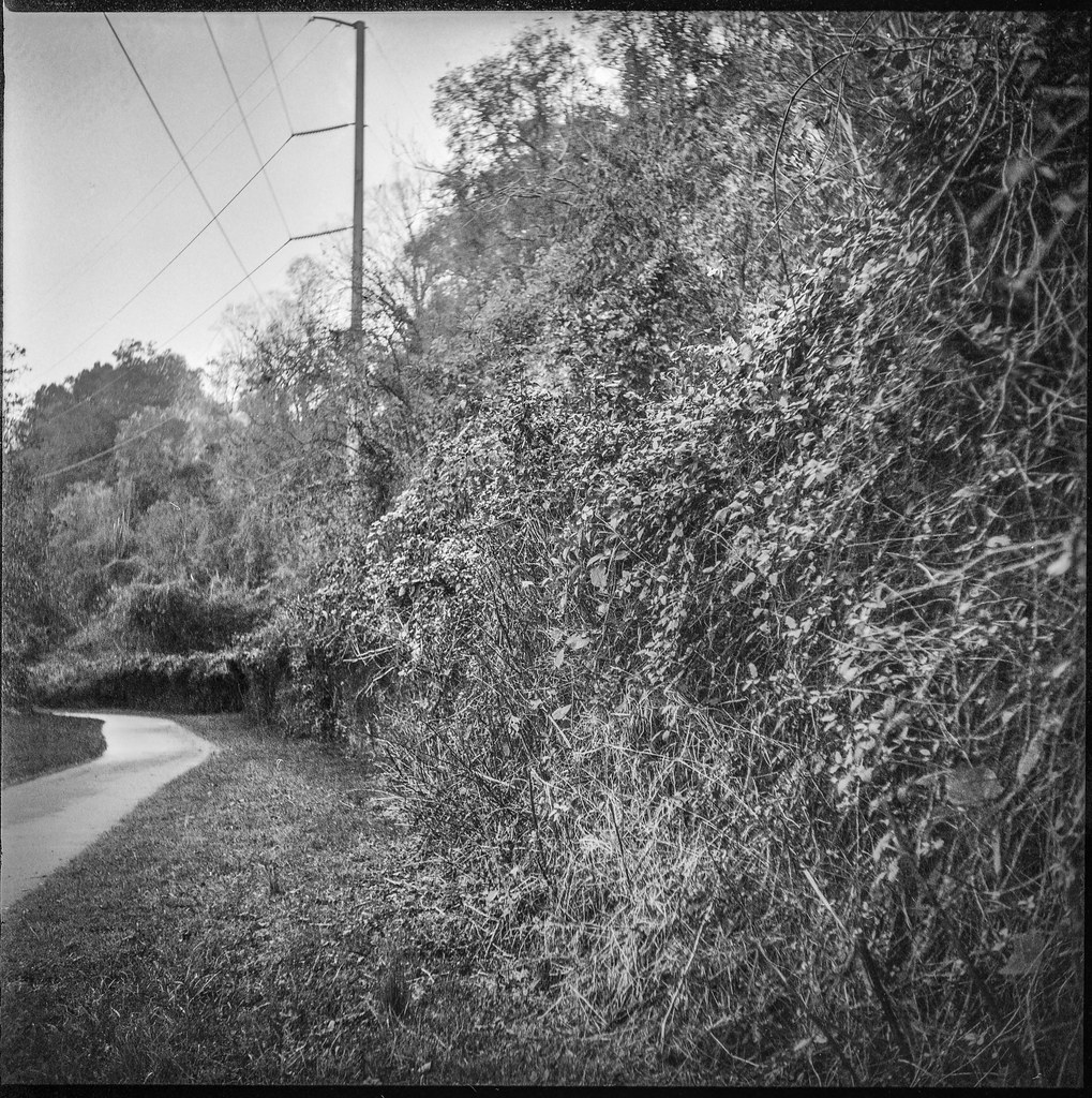 pathway, powerline, urban park, Hominy Creek River Park, A… Flickr