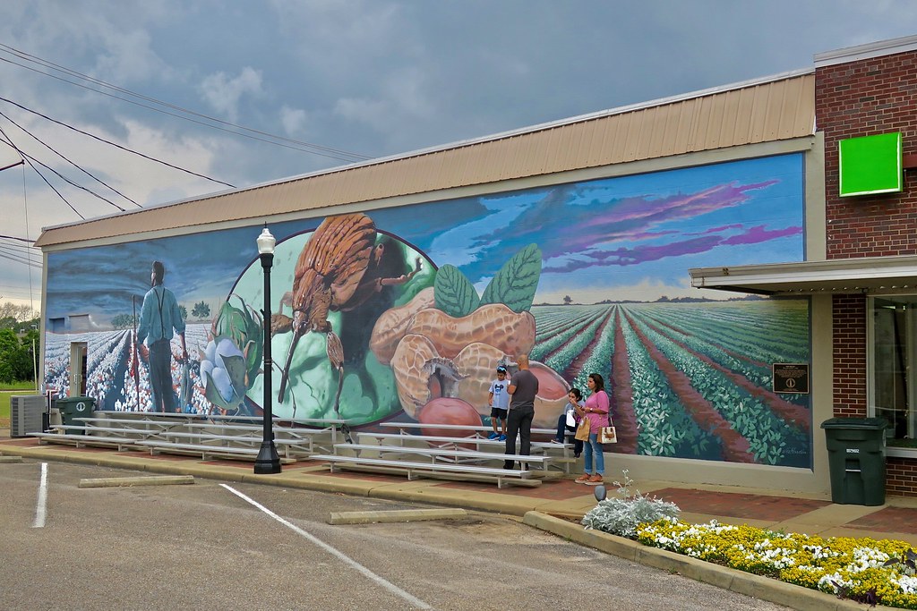 Boll Weevil Mural, Enterprise, AL Boll Weevil mural, corne… Flickr