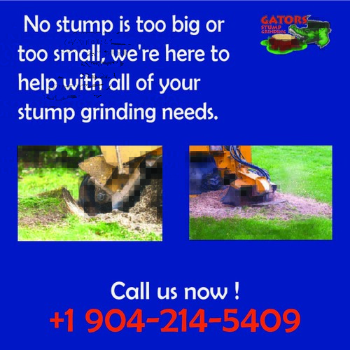 Stump Grinding Gainesville, Fl Gators Stump Grinding servi… Flickr