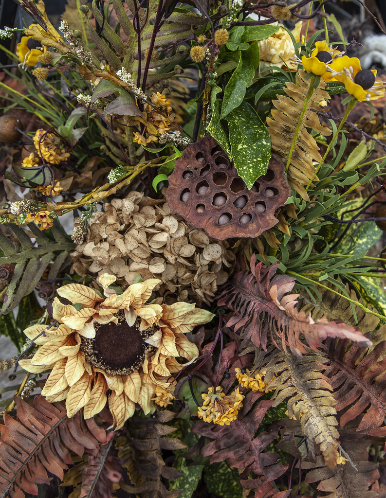 Fall Flower Market Hickory Farmers Market 10312020 Randy Knauf Flickr