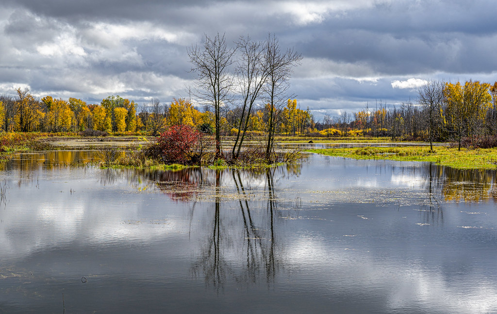 Elevation of Hensall Road, Hensall Rd, Huron East, ON, Canada