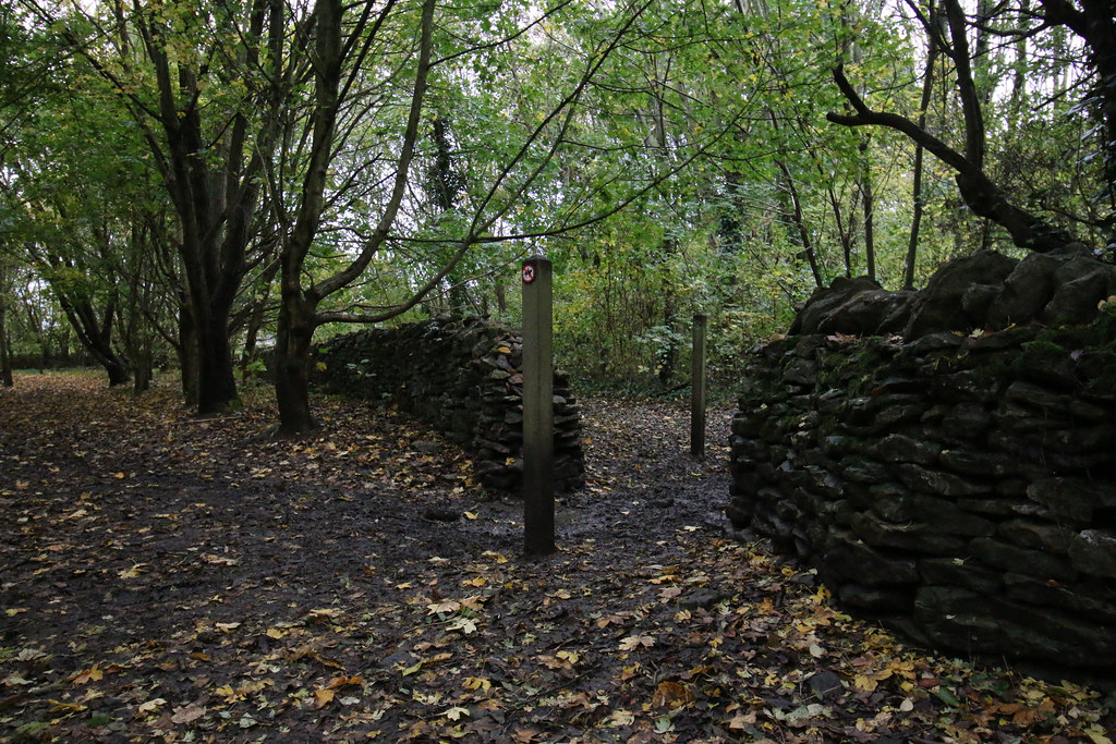 Autumn, Poor Hurn, Manor Road Community Woodland, Keynsham… Flickr
