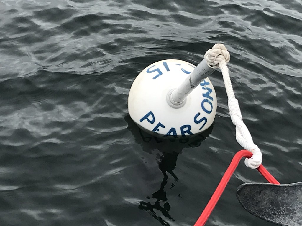 Potters Cove Nov. 1 Flickr