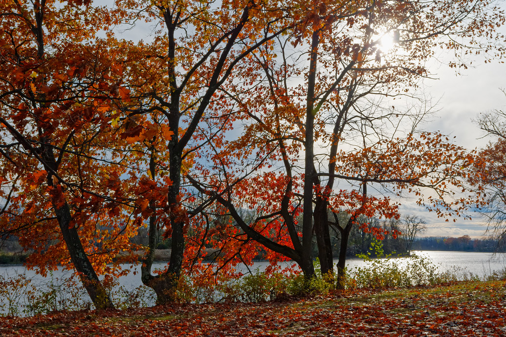 Elevation of Masullo Pkwy, Schenectady, NY, USA Topographic Map Altitude Map