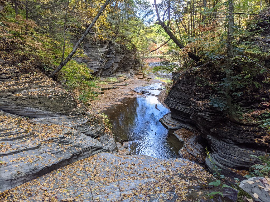 IMG_20201001_101310 Havana Glen Park Montour Falls, NY Walter
