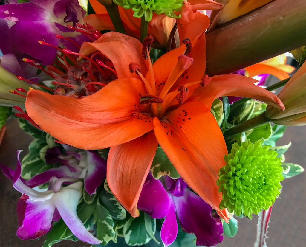 Orange Lily Happy Quinta Flower Thank you for your kind vi… Flickr