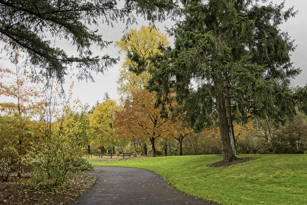 Salmon Creek Park Vancouver, Washington DL Photo Flickr