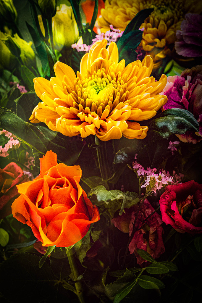 Lockdown smiles We sent flowers to all our daughters to ch… Flickr