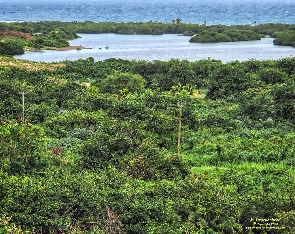 Salt Pond in Conaree Village, Saint Kitts Salt ponds are a… Flickr