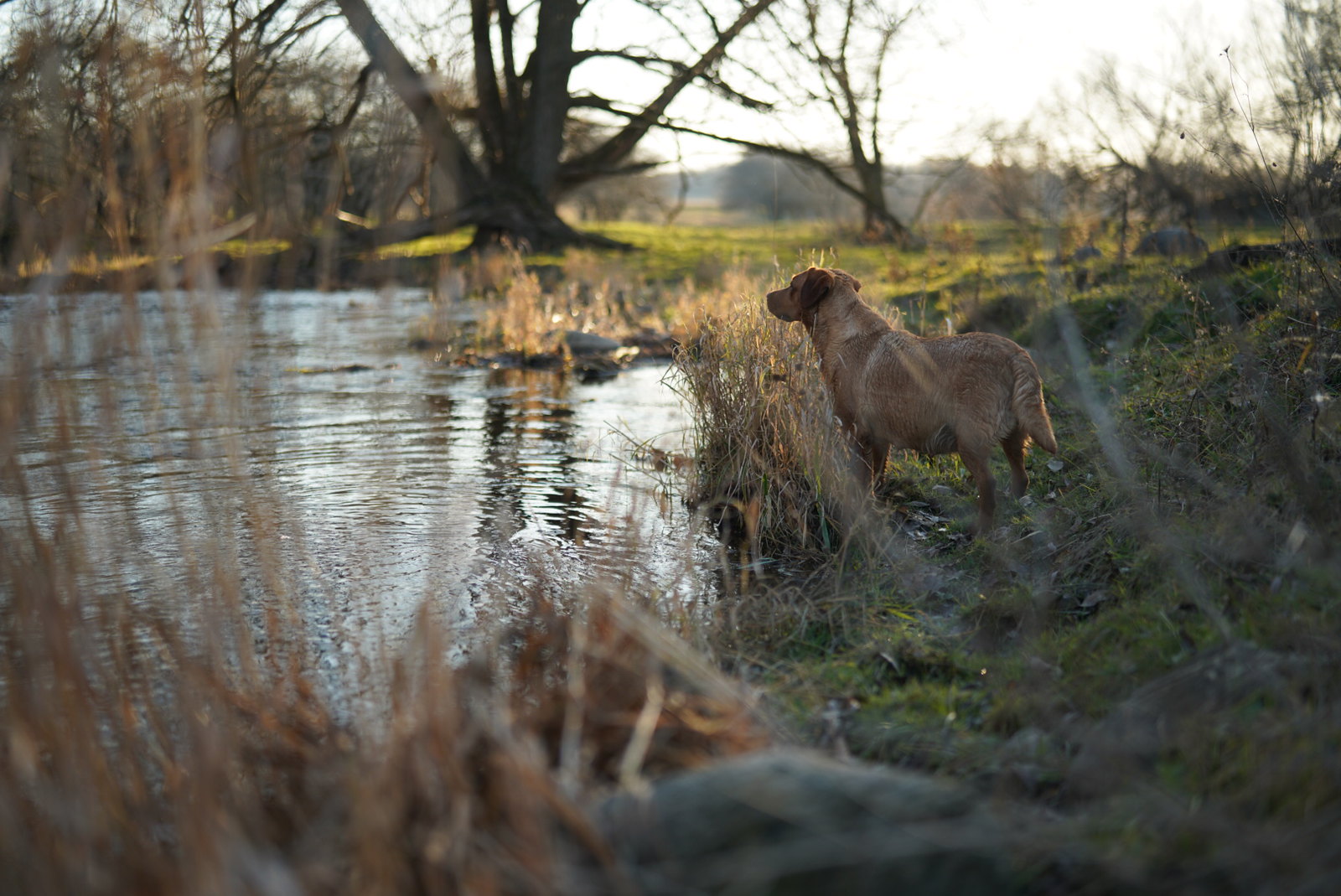 If your Family Feels kinda Mixed up The Truth and Illusion of Family