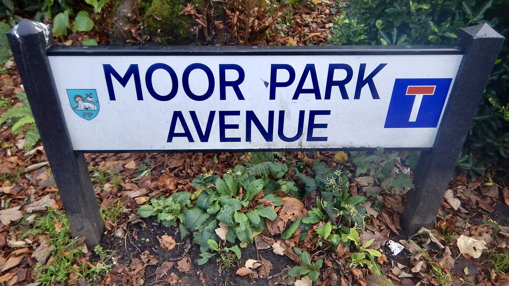 Moor Park Avenue Douglas Law Flickr