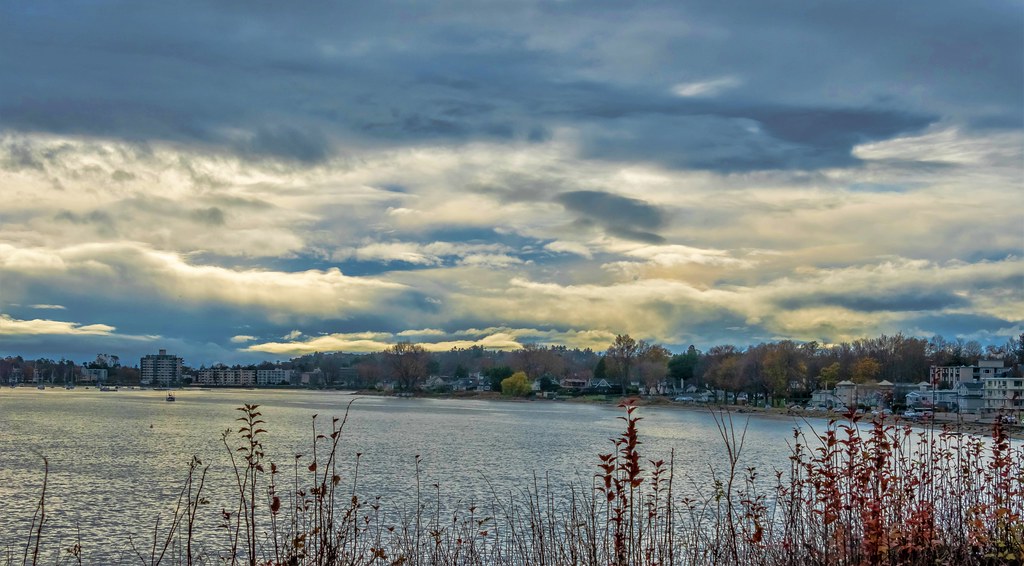Oak Bay and Willows Beach Lindsay Mac Flickr