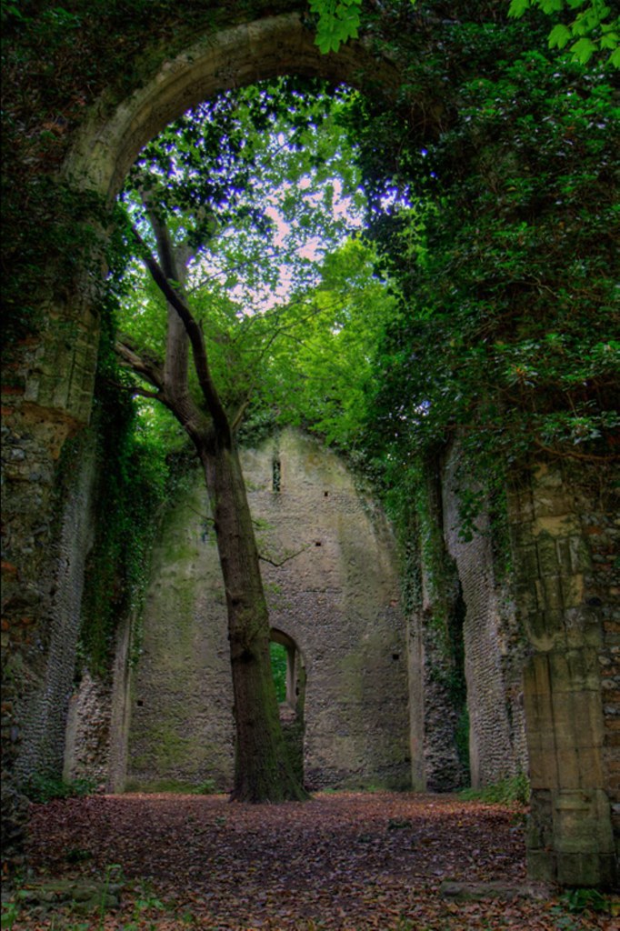 St. Mary’s Church ruins, East Somerton, Norfolk Robin Chrystie Flickr