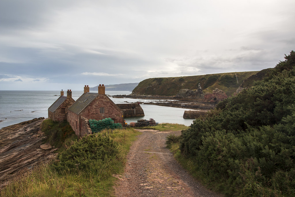 Cove Harbour Cove, Berwickshire, Scotland. Dave Cleghorn Flickr