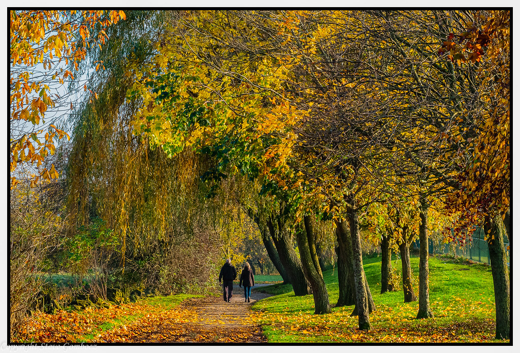 A walk through Autumn! Springmill area in Ossett near Wake… Flickr