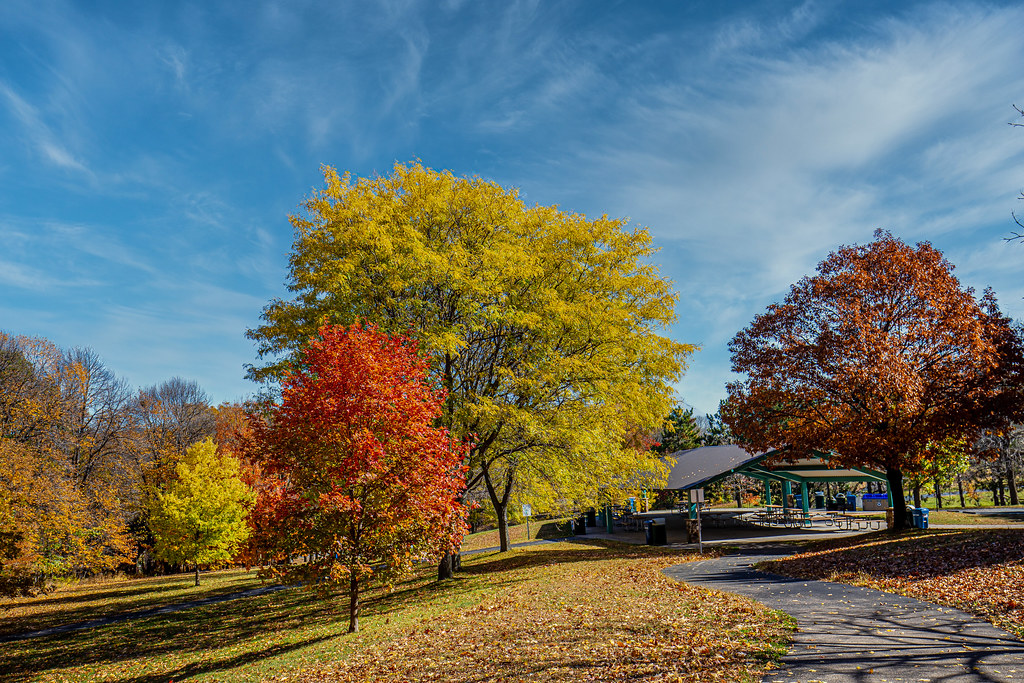 Lake Ann MN Donald Kisseberth Flickr