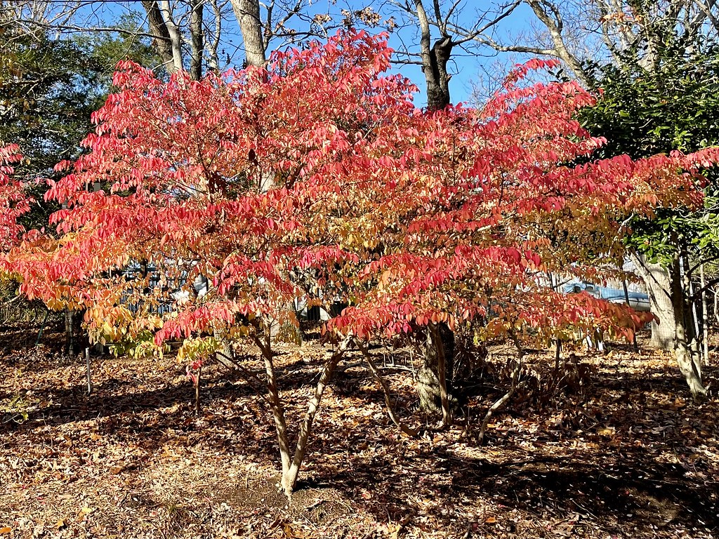East HamptonNew York•Lion Head Beach AC365 Flickr