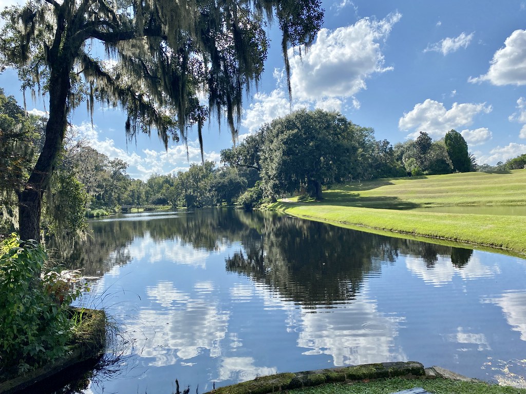 Mill Pond, Middleton Place, Summerville, SC Warren LeMay Flickr