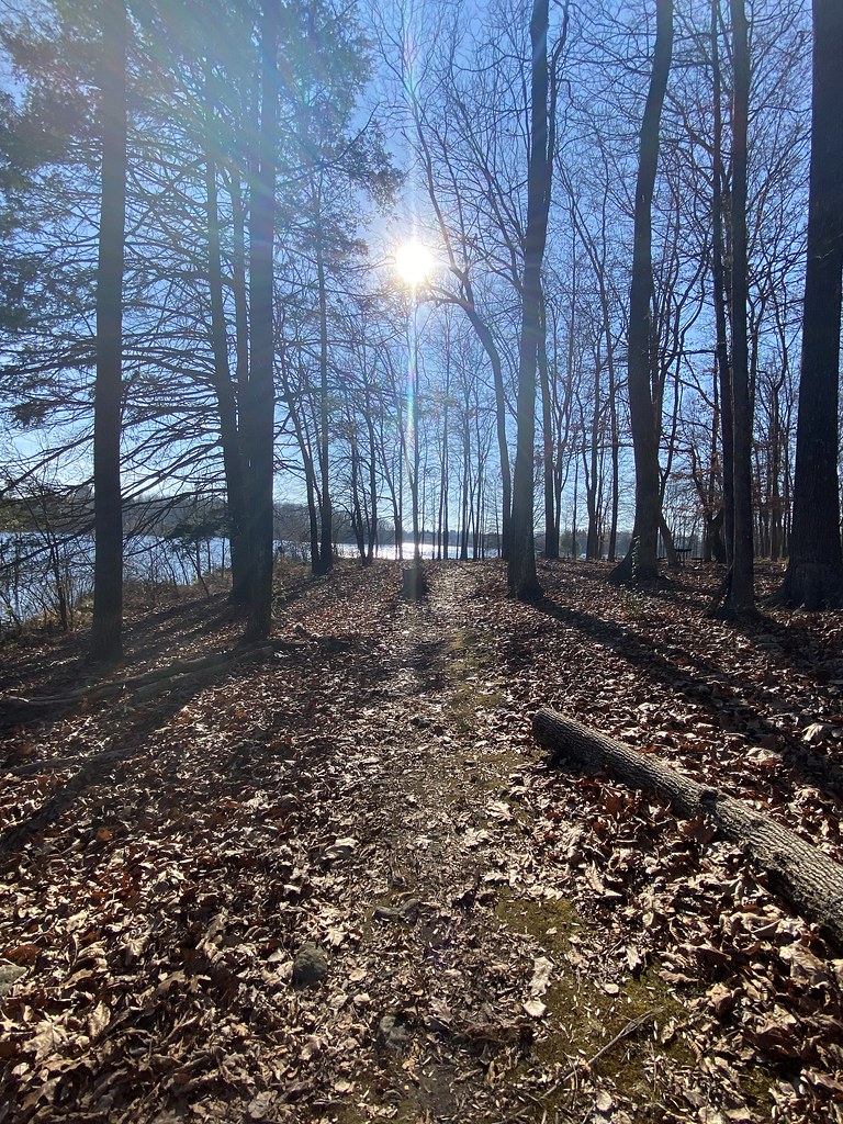 The Sun Seen at Leaser Lake Park. Flickr