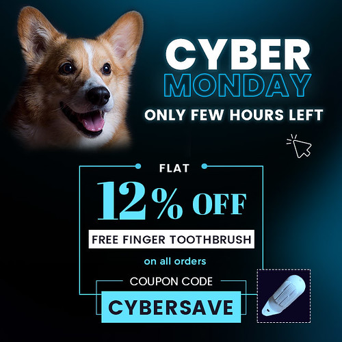 Cyber Monday Sale Flat 12 OFF On all Orders Cyber Monday… Flickr