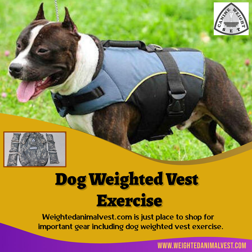 Dog Weighted Vest Exercise Getting your dog trained for a … Flickr