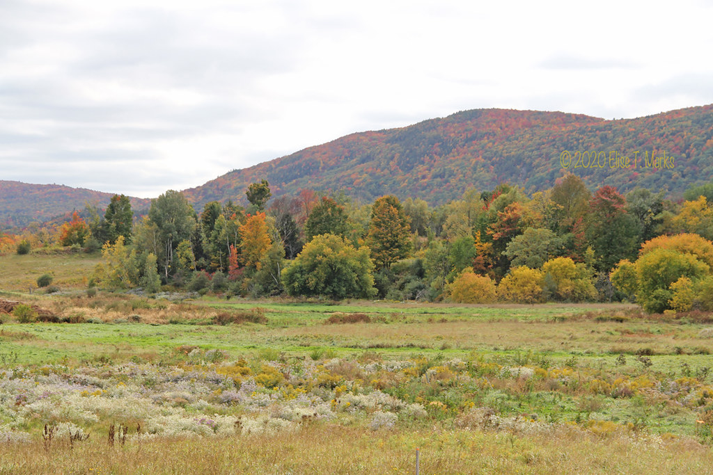 Starksboro Color a photo on Flickriver