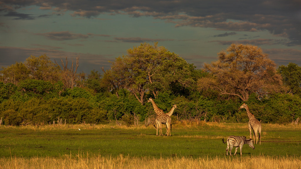 Beautiful Botswana a photo on Flickriver