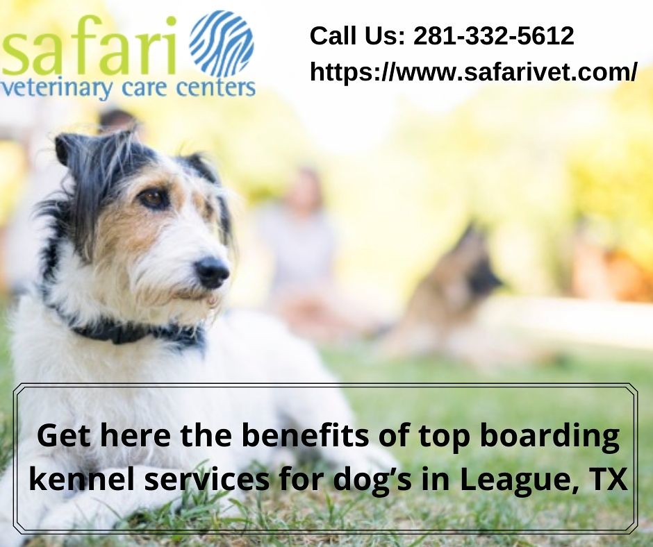 Get here the benefits of top boarding kennel services for … Flickr