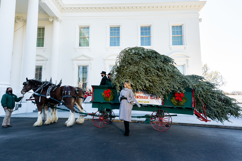 The White House Christmas Tree Arrival First Lady Melania … Flickr