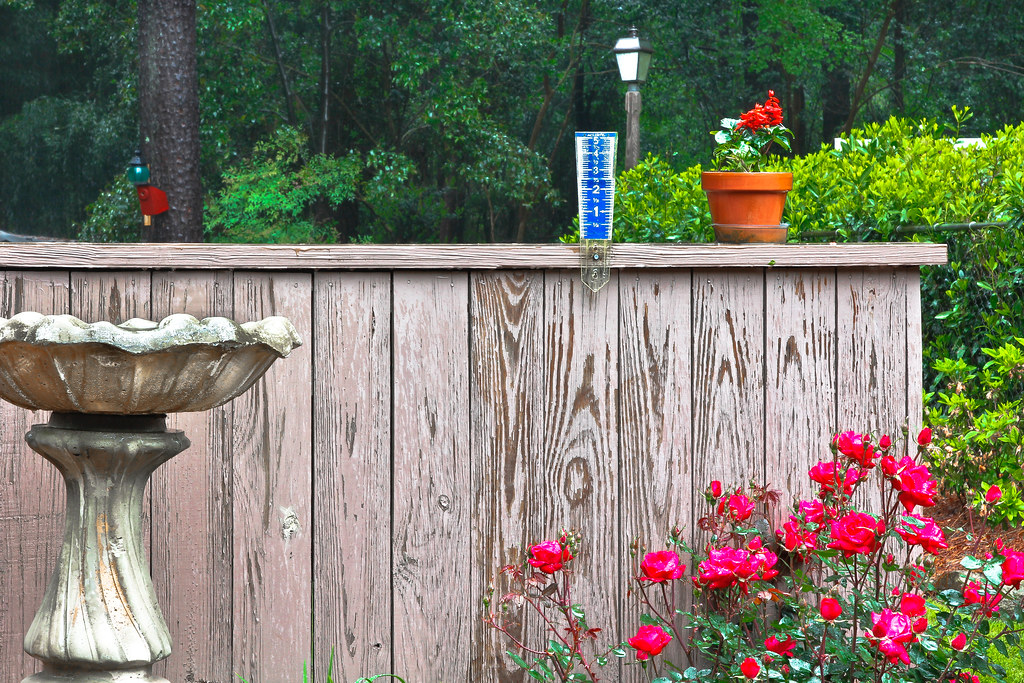 Rain Trisha Yearwood Yes, the fence has been paint… Flickr