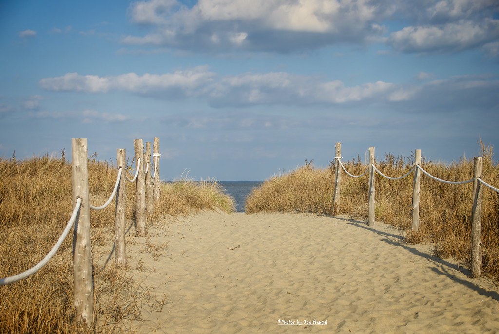 Imagine.... Beach Plum Island, Lewes, DE Today I'm remembe… Flickr