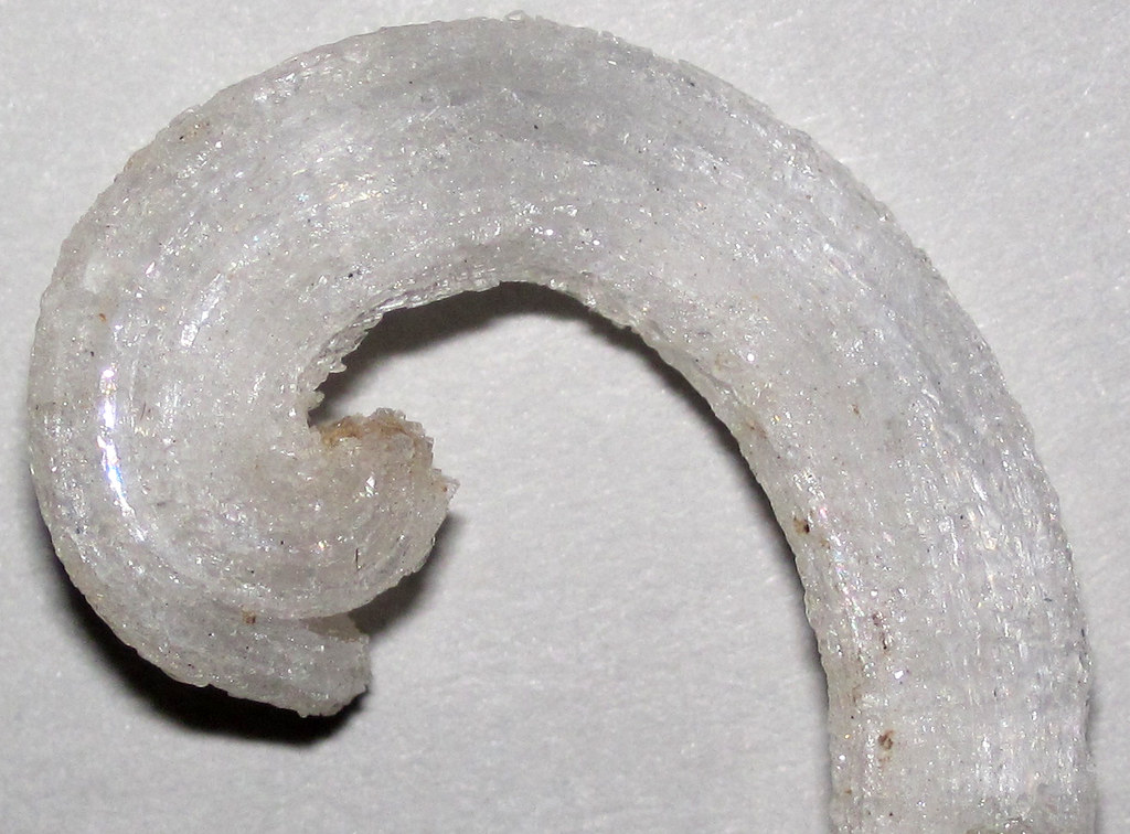 Gypsum helictite (Mammoth Cave, Kentucky, USA) 3 Western K… Flickr