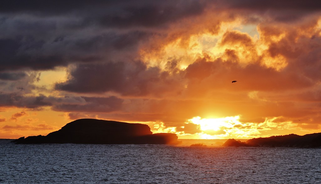Horse Island _MG_1412 .. at sundown Ronnie Robertson Flickr