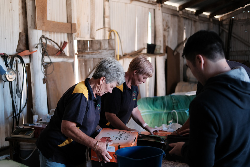 Cherry Picking Orange Flickr