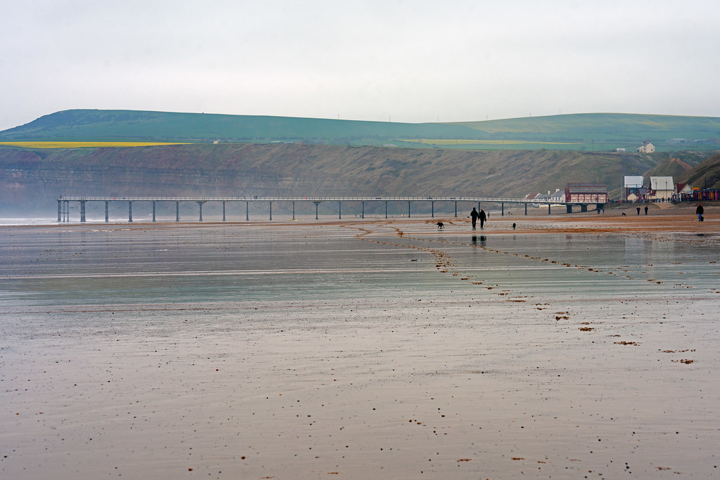 Two People, Two Dogs, One Pier SaltburnbytheSea, Redcar… Flickr