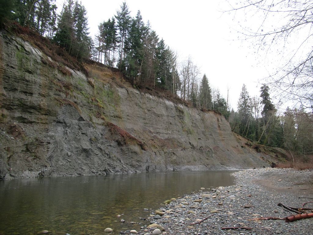 Clay Banks The Clay Banks are a feature of Englishman Rive… Flickr