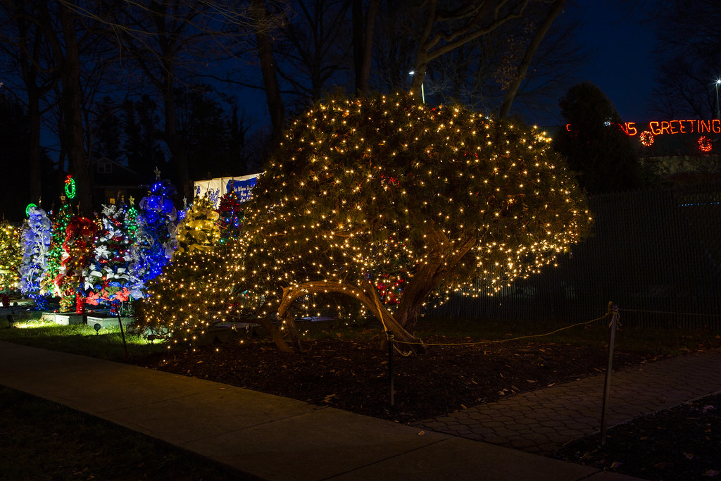 Holiday Lights 2020 Flickr