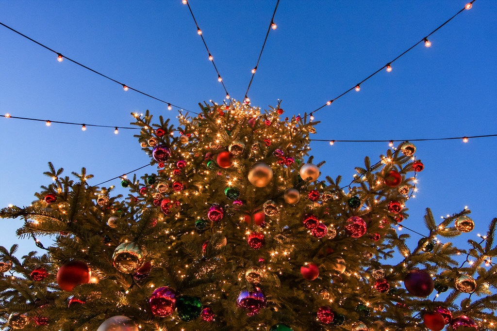 Christmas Tree Canon EOS 40D Lens EF 14mm Lightroom Claudia