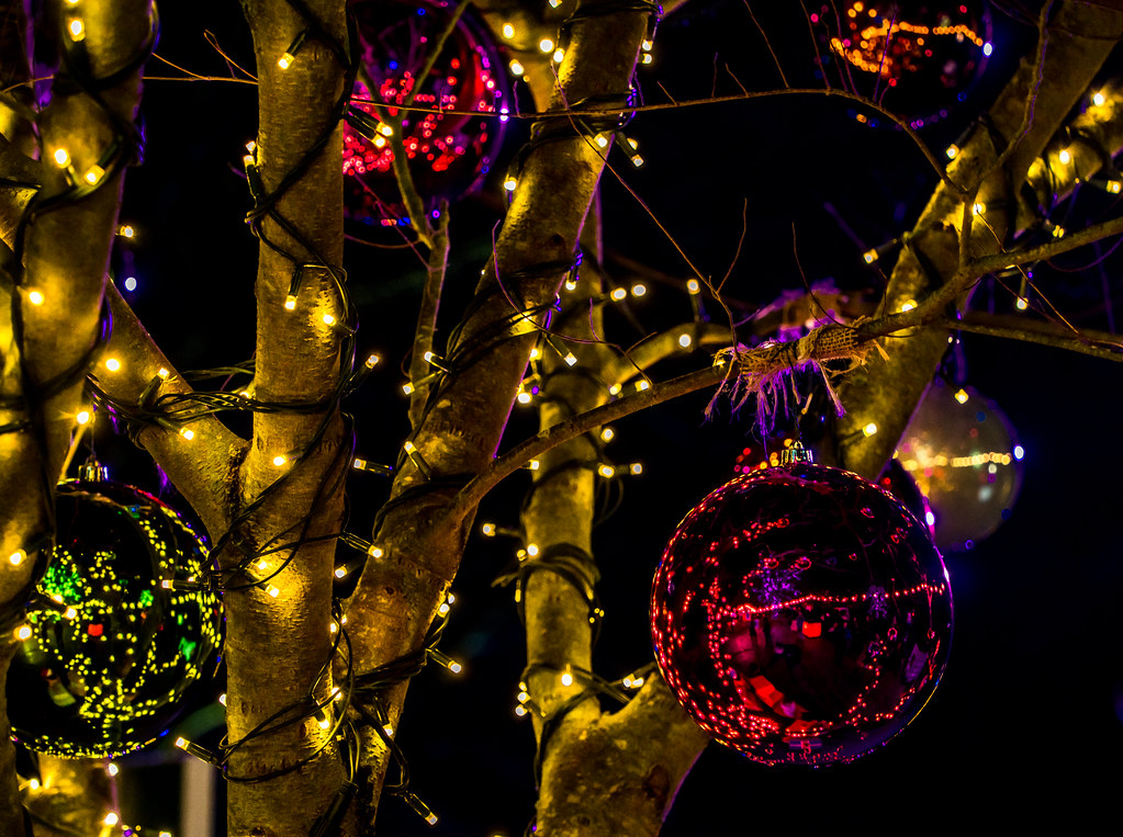 Kew 2015 Baubles Christmas at Kew Gardens, 2020 snellerphoto