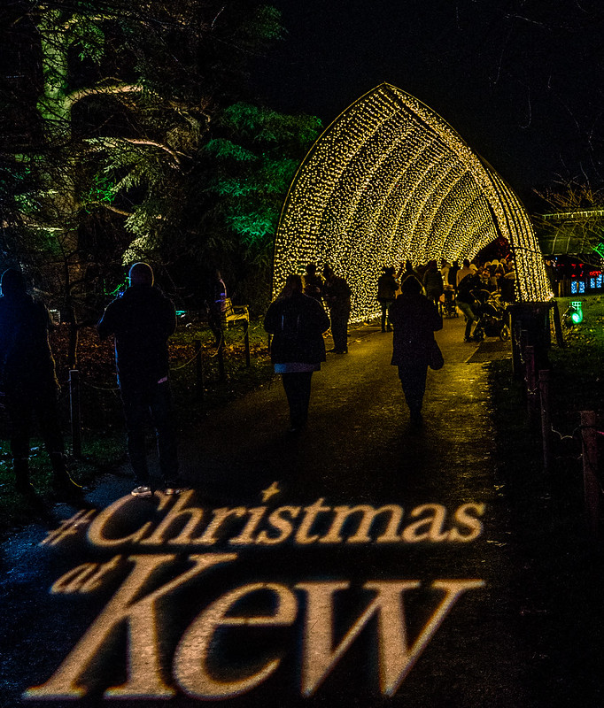 Kew Xmas Lights Flickr