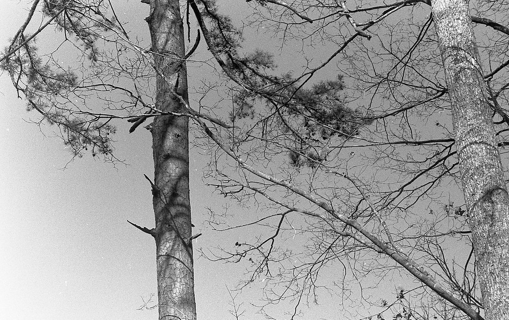 hillsborough riverwalk hillsborough, nc nikon f2 nikon 105… Flickr