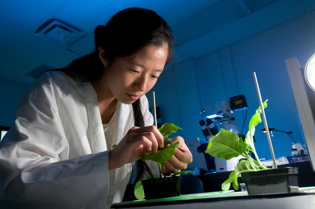 Plant Biology graduate student conducts research at the C… Flickr
