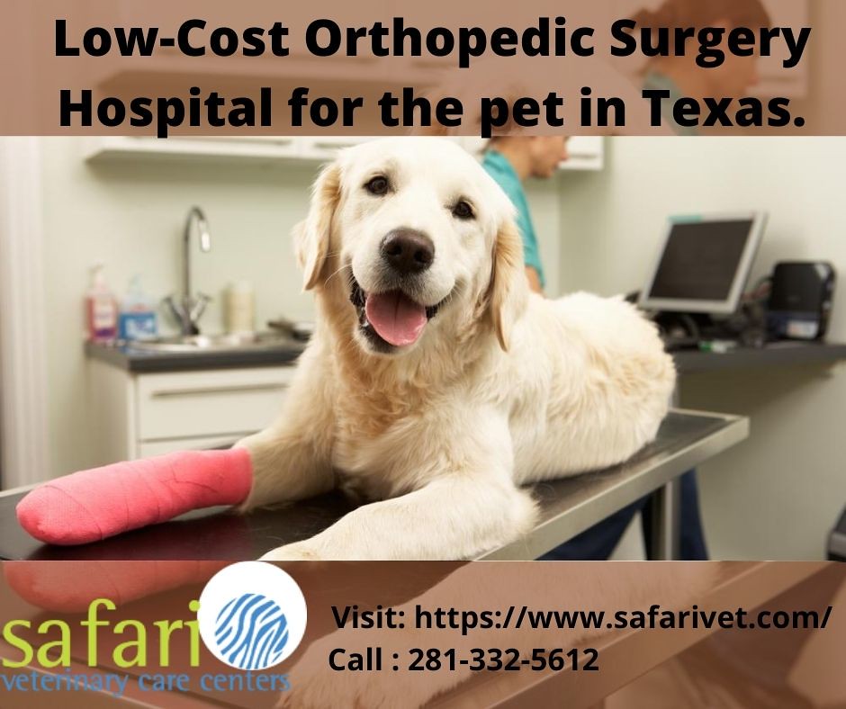 LowCost Orthopedic Surgery Hospital for the pet in Texas.… Flickr