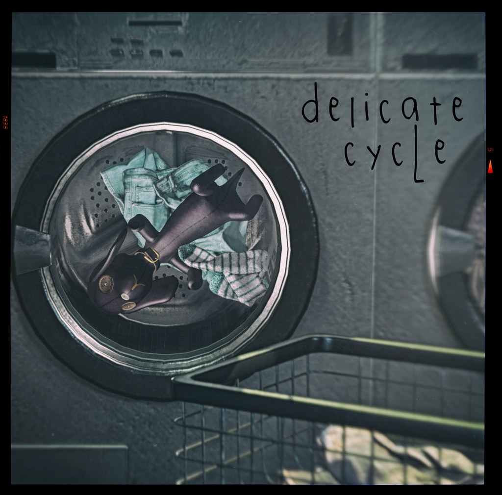 [ delicate cycle ] Delicate Cycle Laundromat at The Apartm